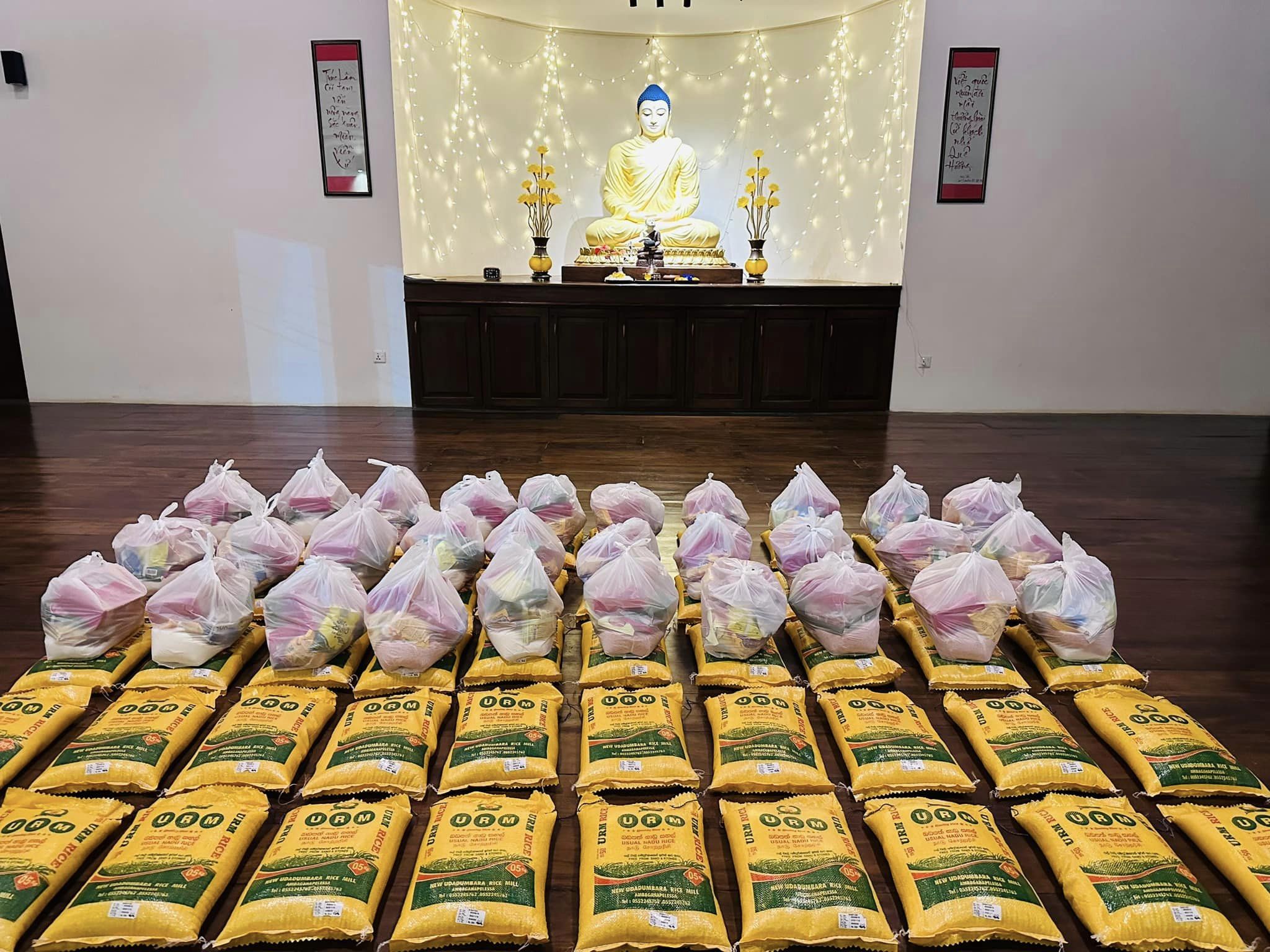 Rice For The Hungry – Truc Lam